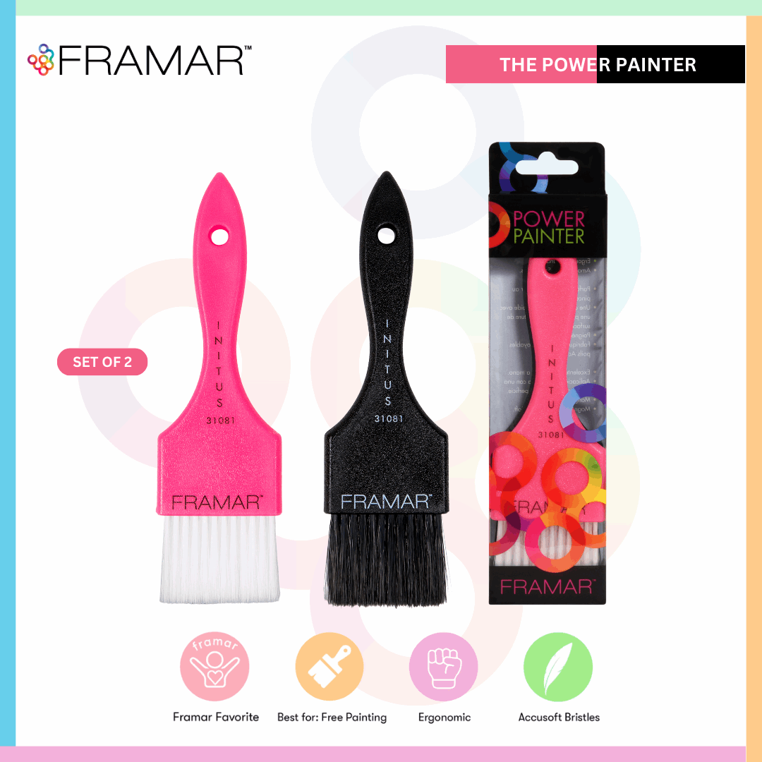 FRAMAR Power Painter Brush Set